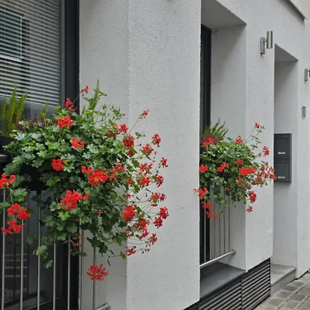 Nowa Apartment *