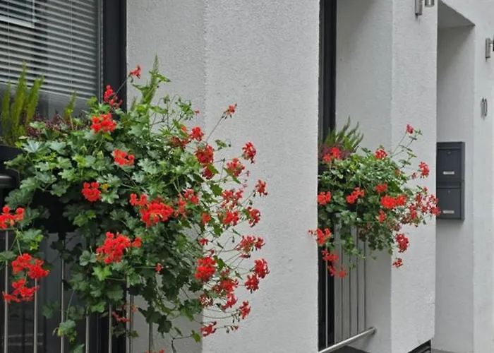Nowa Appartement *